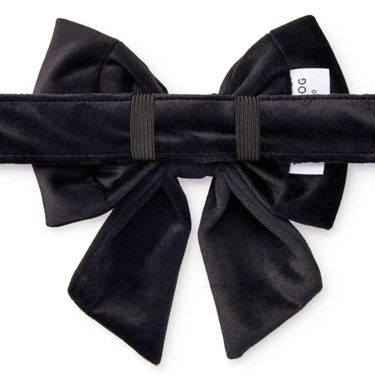 Foggy Dog Black Velvet Lady Dog Bow