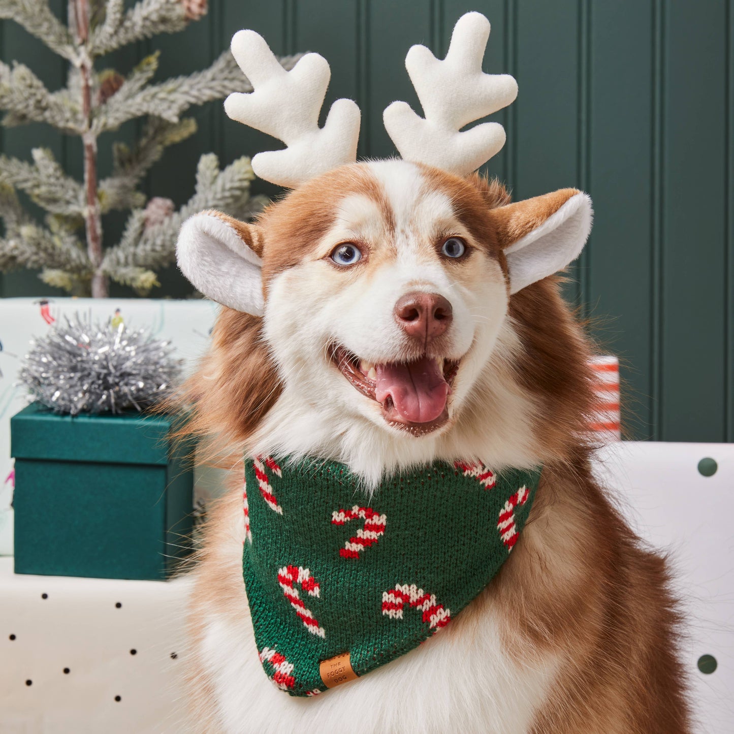 Foggy Dog Candy Cane Knit Holiday Dog Bandana