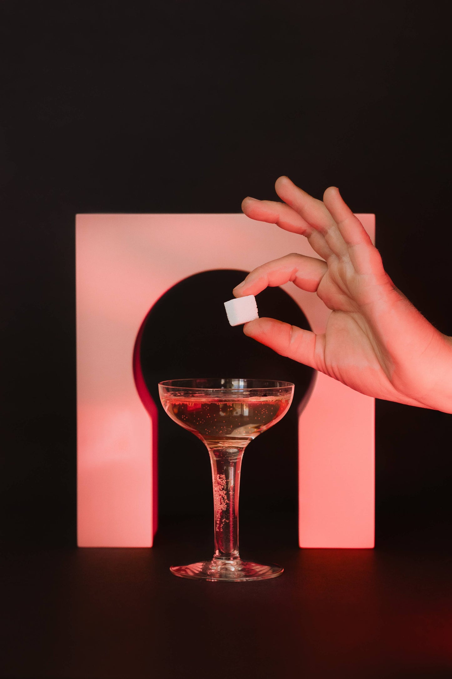 Lavender & Lemon Champagne & Cocktail Cubes
