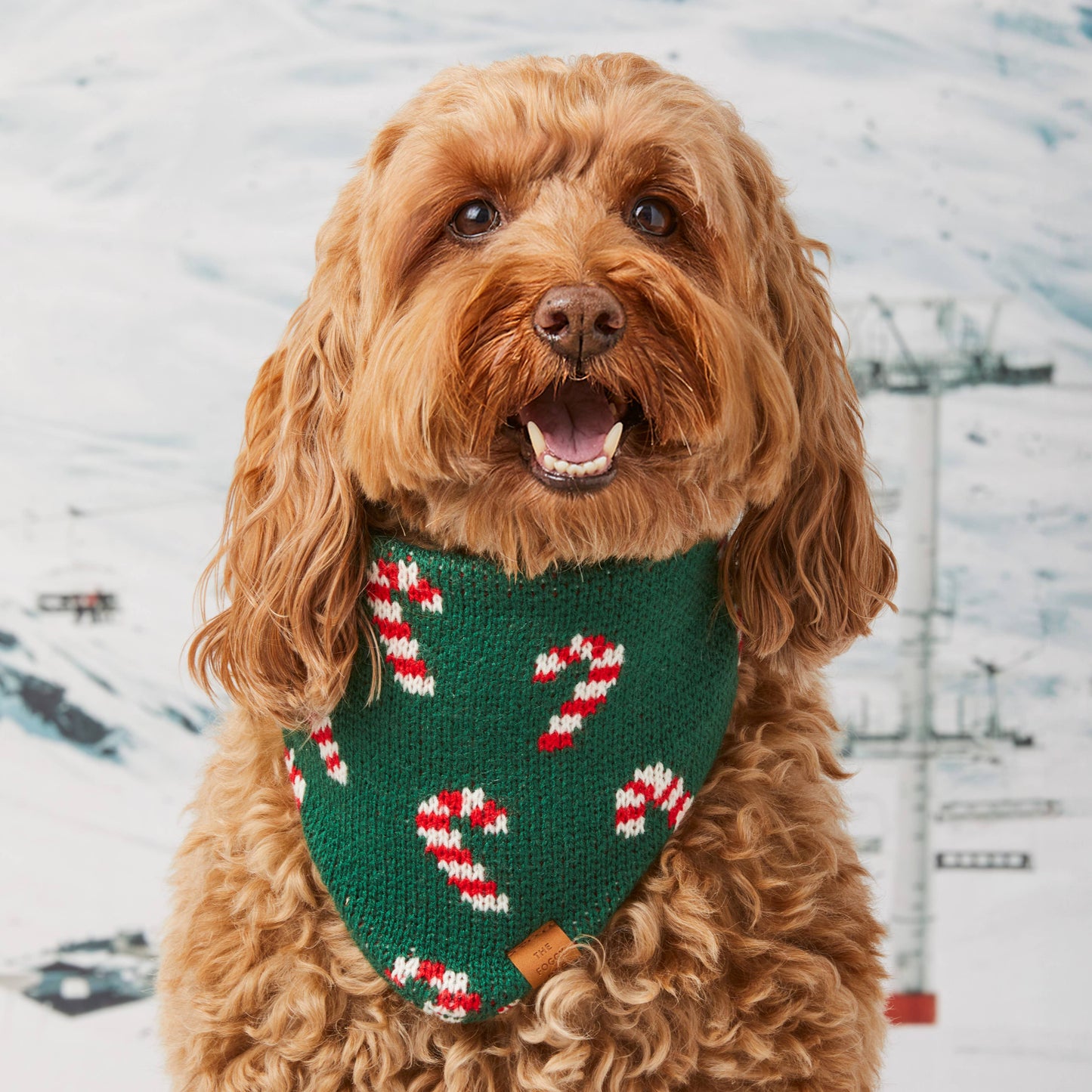 Foggy Dog Candy Cane Knit Holiday Dog Bandana