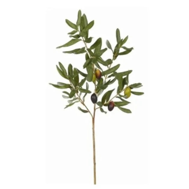Olive Leaf
