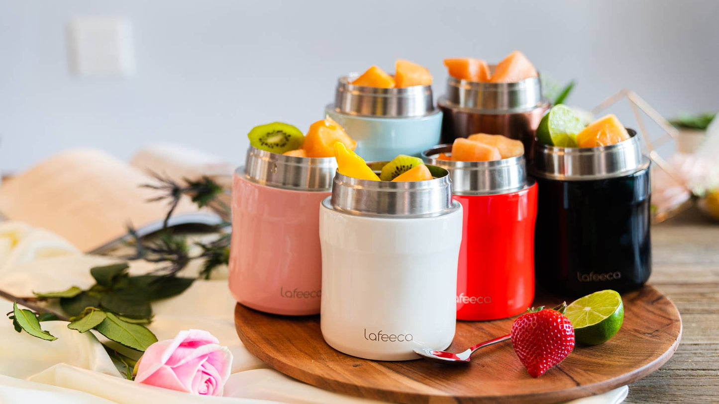 Thermos Food Jar Vacuum Insulated Lunch Box