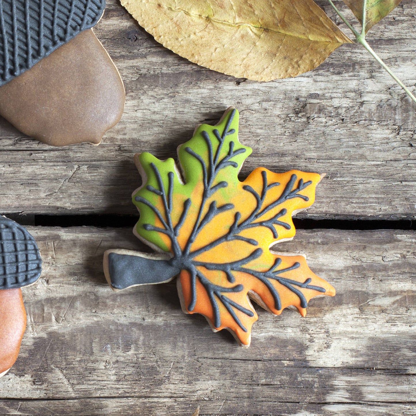 Maple Leaf Cookie Cutter Set, 5-Piece