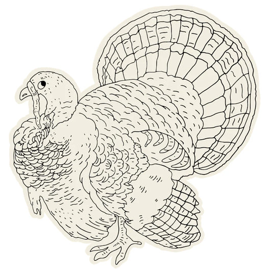 Hester & Cook Coloring Turkey Paper Placemat