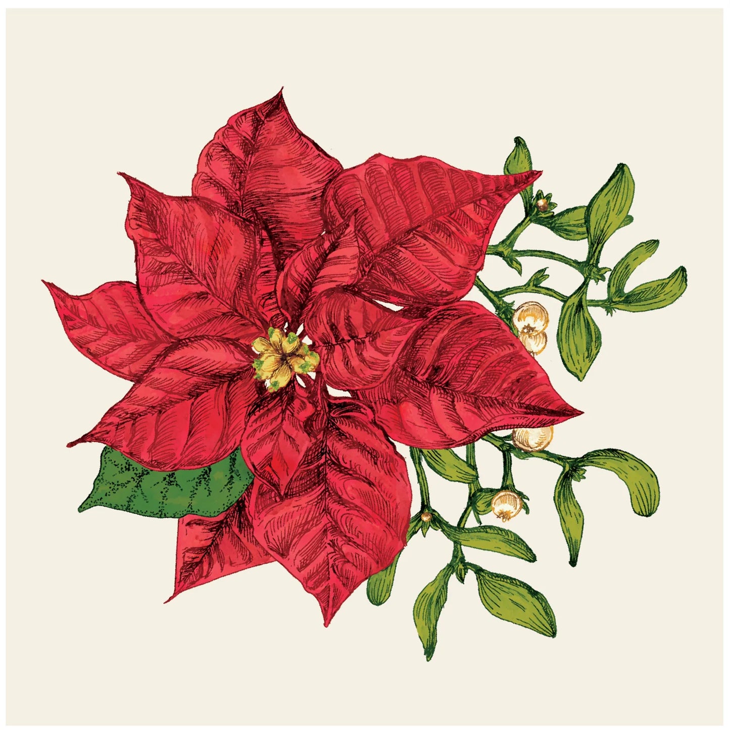 Hester and Cook Poinsettia Napkins