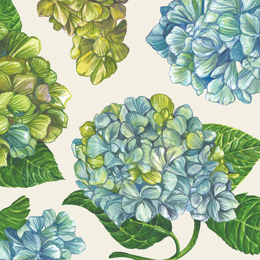 Hester & Cook Hydrangea Napkins