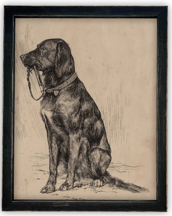 Dog Sketch Framed Art on Canvas