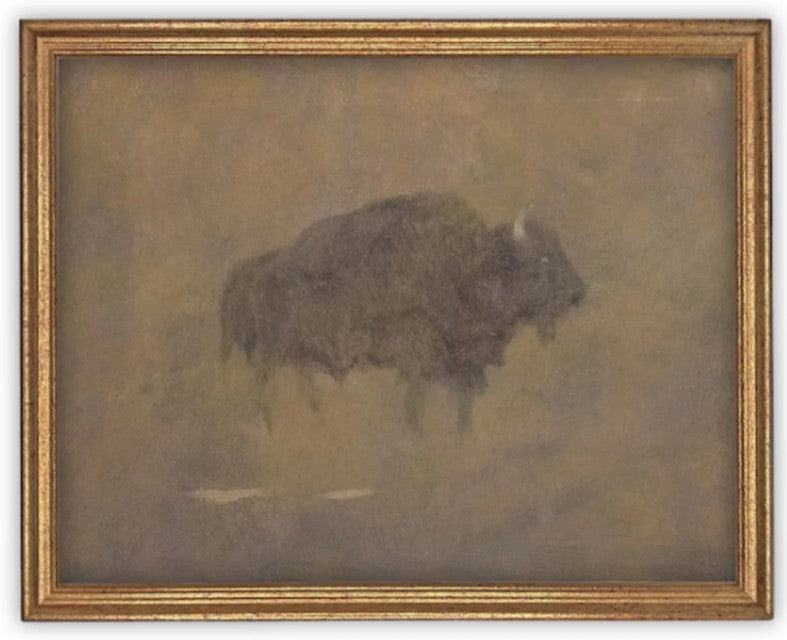 Buffalo Framed Art on Canvas