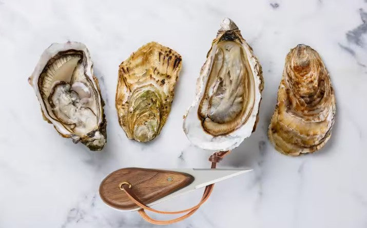 Oyster Gift Box, Shucking Set