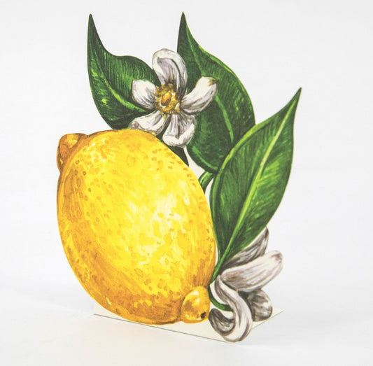 Hester & Cook Lemon Place Cards