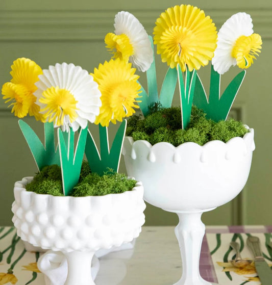Hester & Cook Honeycomb Paper Small Daffodils