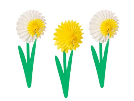 Hester & Cook Honeycomb Paper Small Daffodils