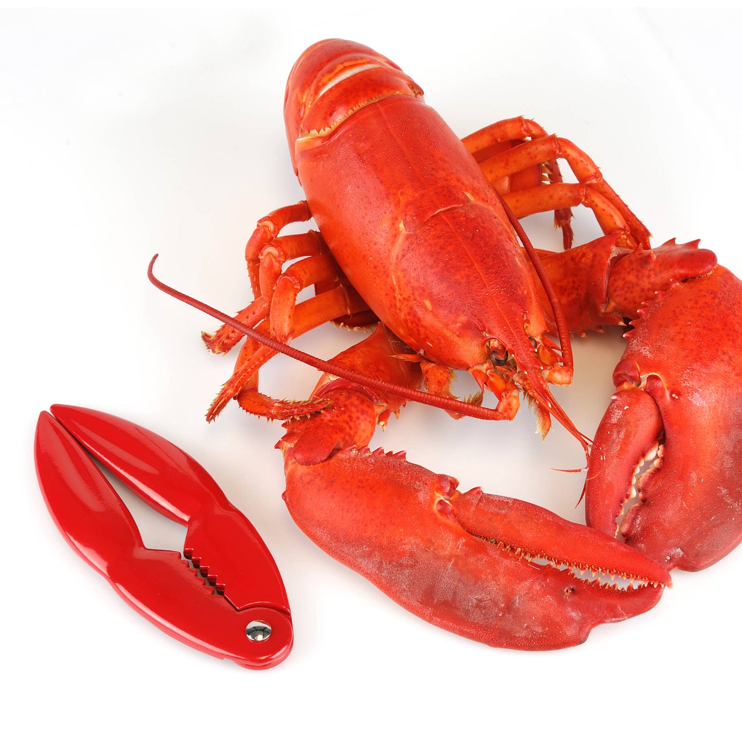 Nantucket Seafood Red Lobster Cracker