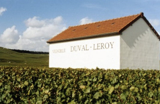 Duval-Leroy  Femme de Champagne, 1996 Magnum