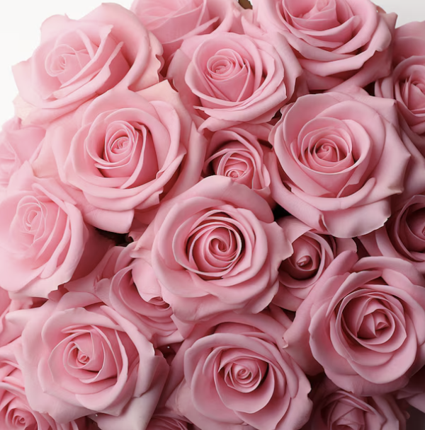 Six Steps to Increasing the Longevity of Your Cut Flowers