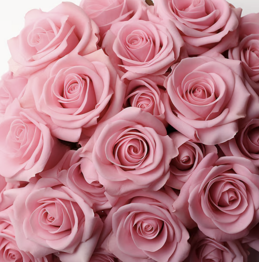 Six Steps to Increasing the Longevity of Your Cut Flowers