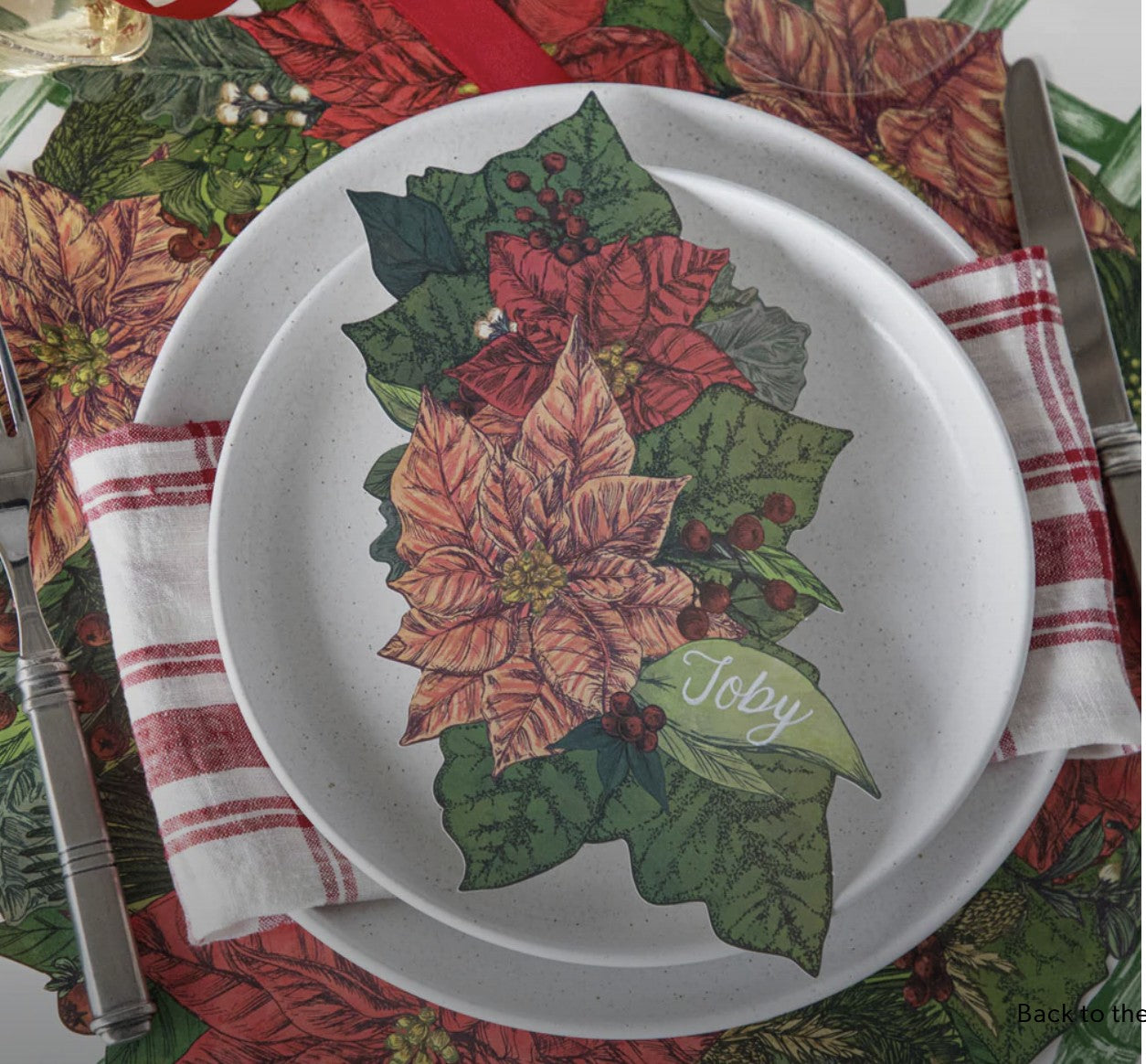 Poinsettia Story – DASH Home + Kitchen