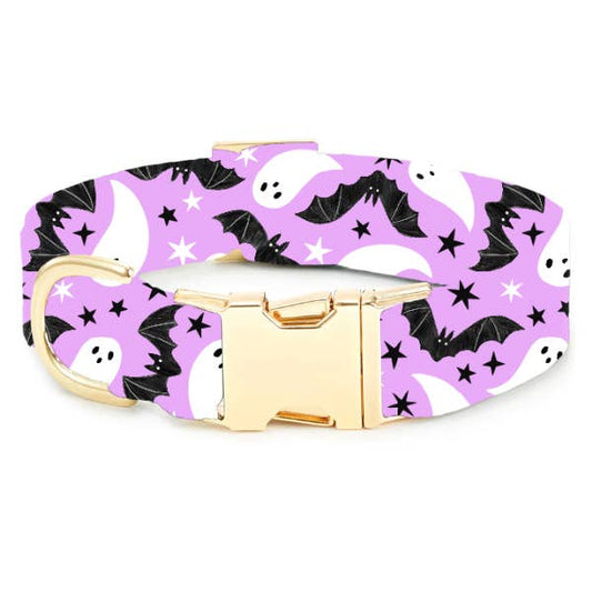 Spooky Season Glow-in-the-Dark Dog Collar