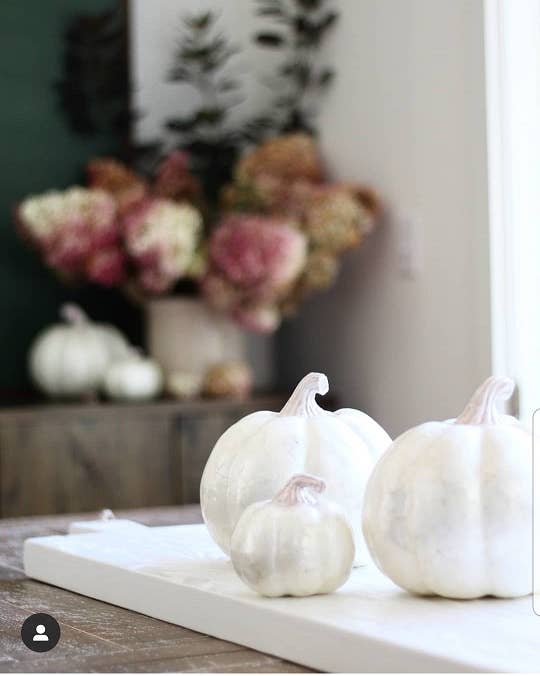 Capiz White or Orange Pumpkin