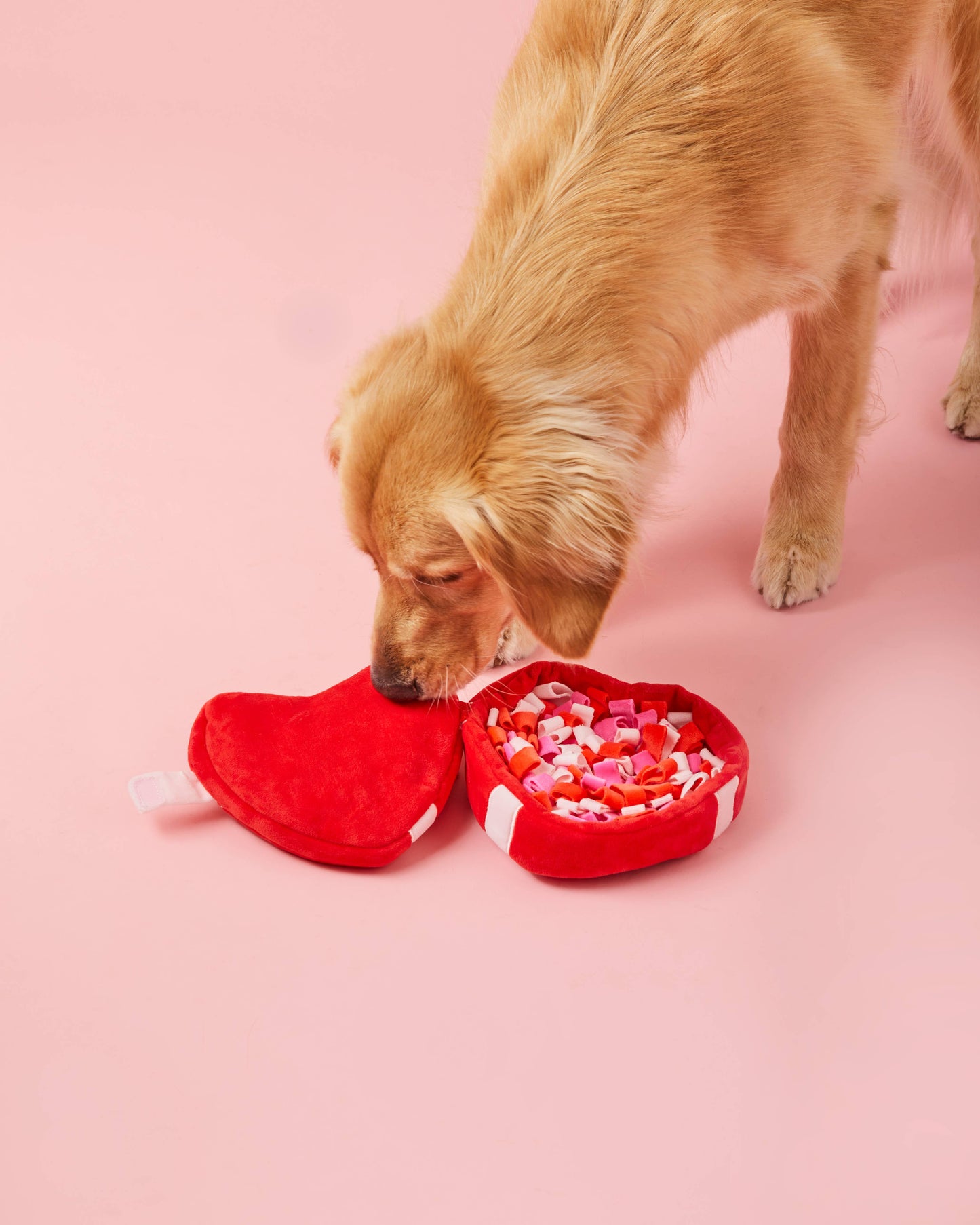 Foggy Dog Be My Valentine Interactive Snuffle Dog Toy