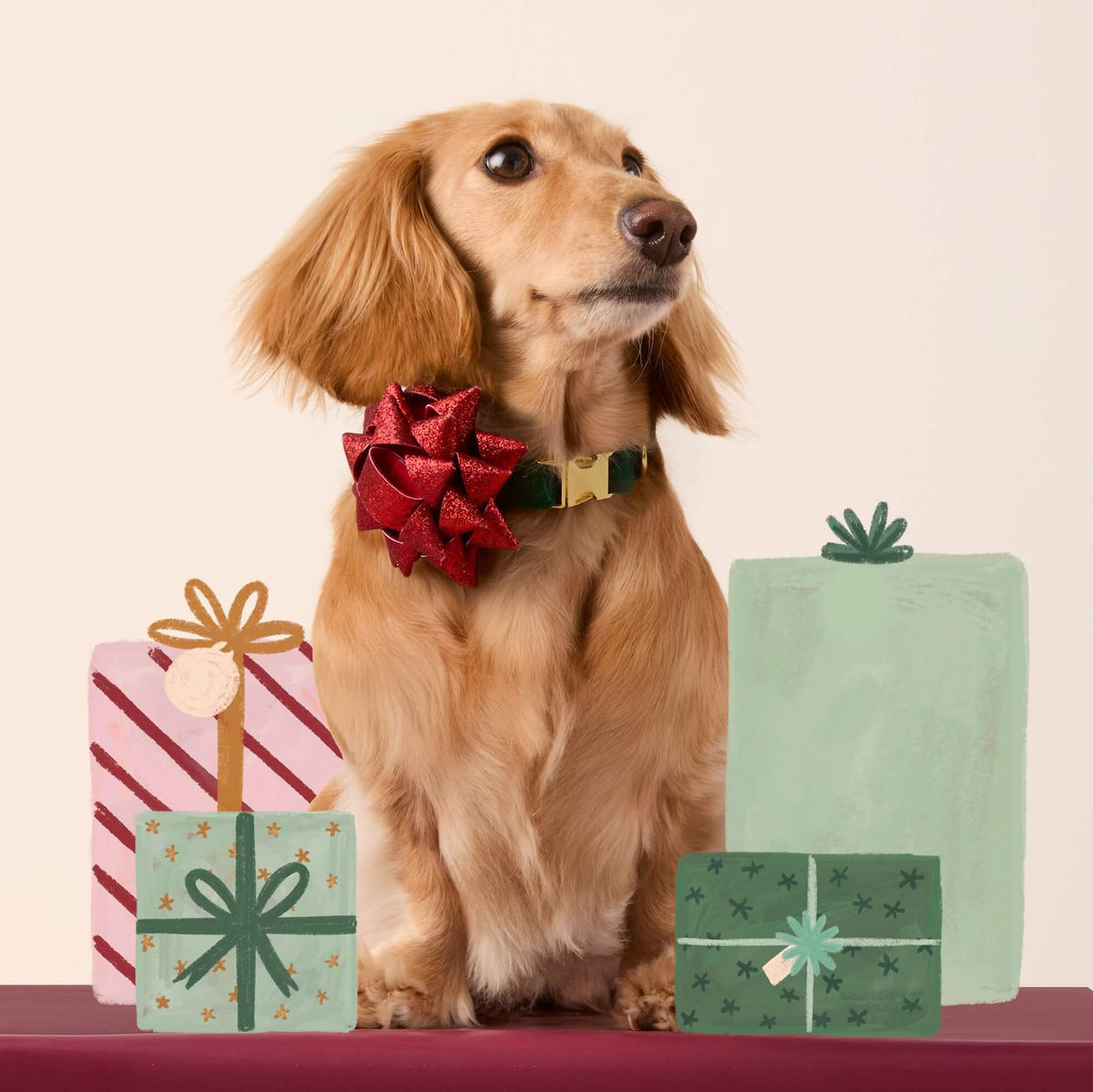Foggy Dog - Red Gift Bow Dog Collar Attachment