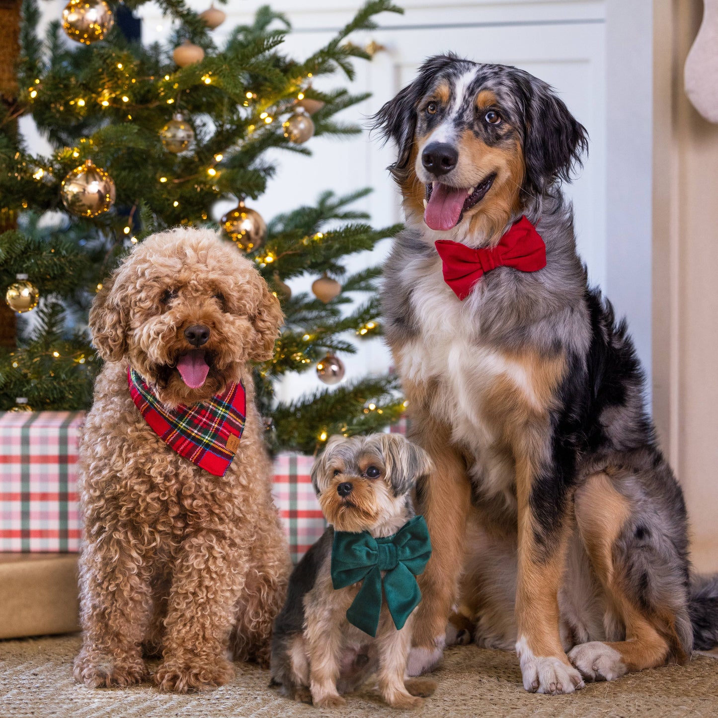 Foggy Dog Tartan Plaid Flannel Holiday Dog Bandana