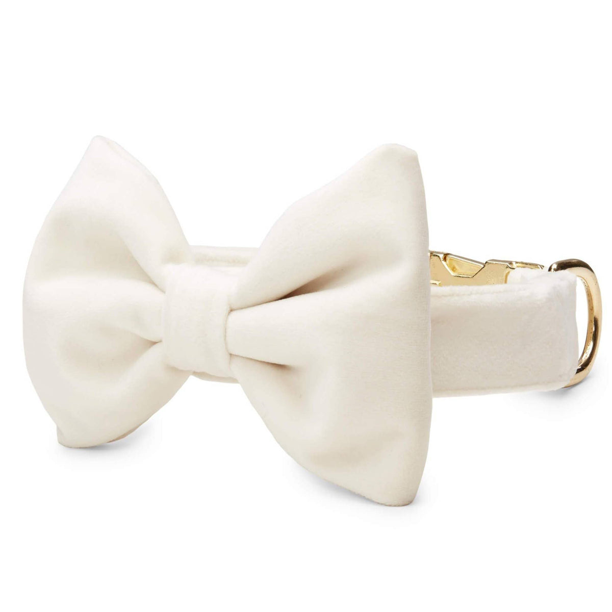 Foggy Dog - Ivory Velvet Dog Bow Tie