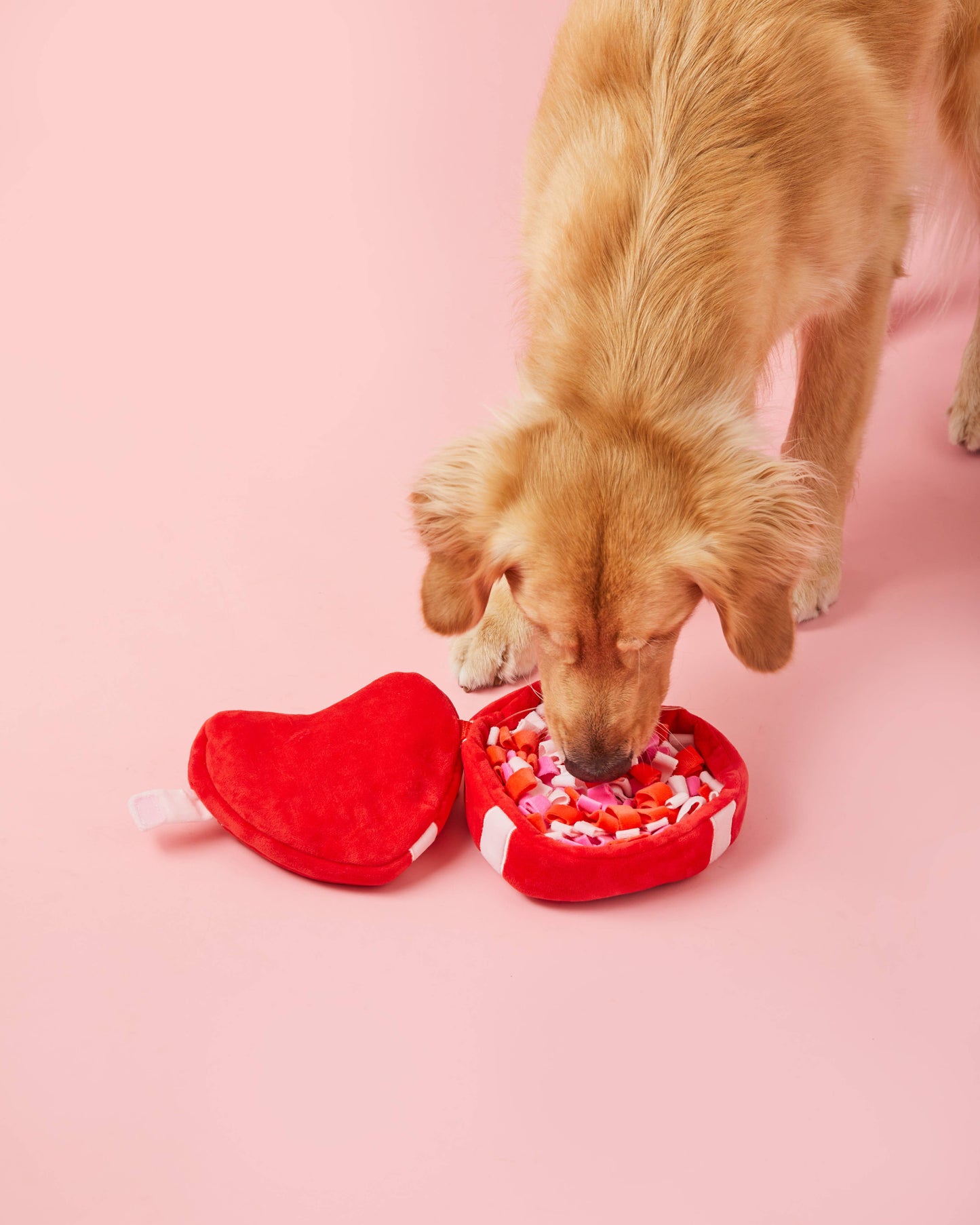 Foggy Dog Be My Valentine Interactive Snuffle Dog Toy