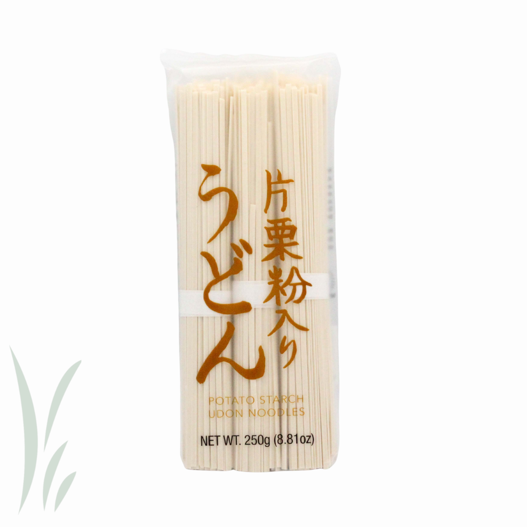 Udon Katakuriko Noodles