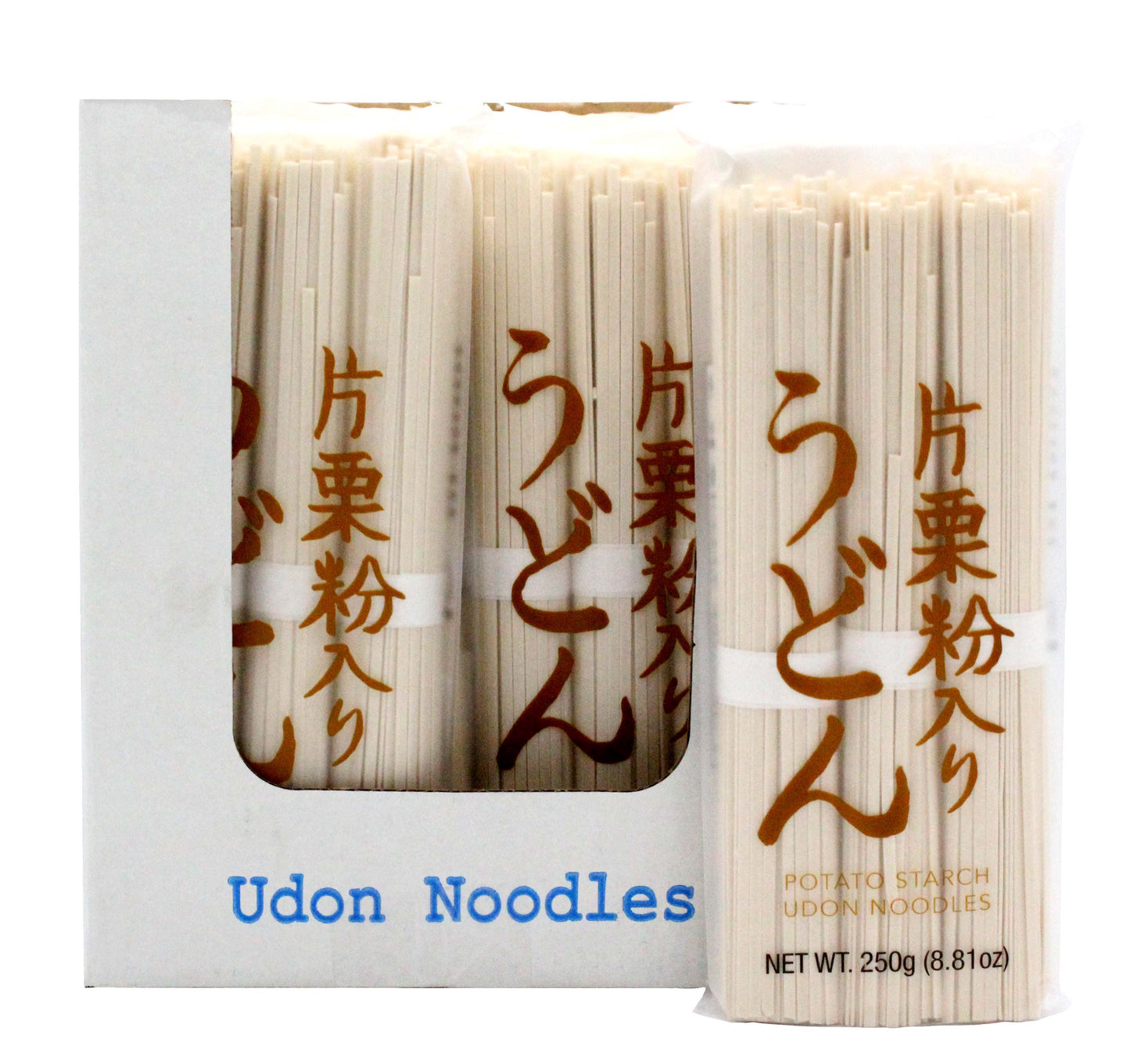 Udon Katakuriko Noodles