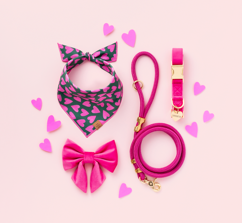 Foggy Dog Lovestruck Valentine's Day Dog Bandana