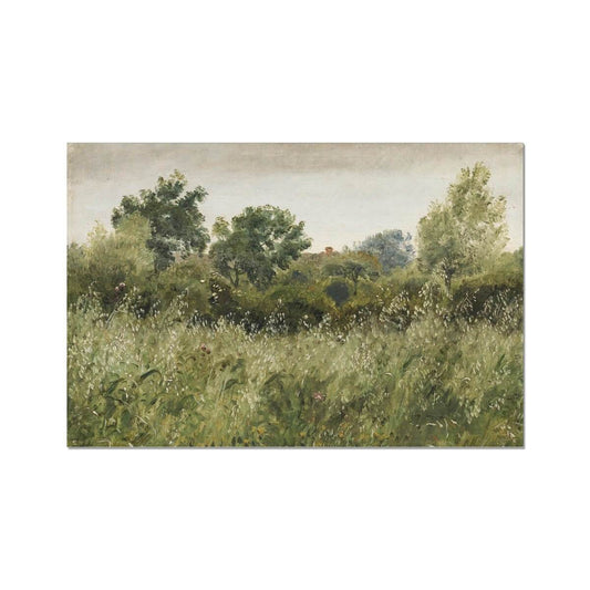 Grassland Print