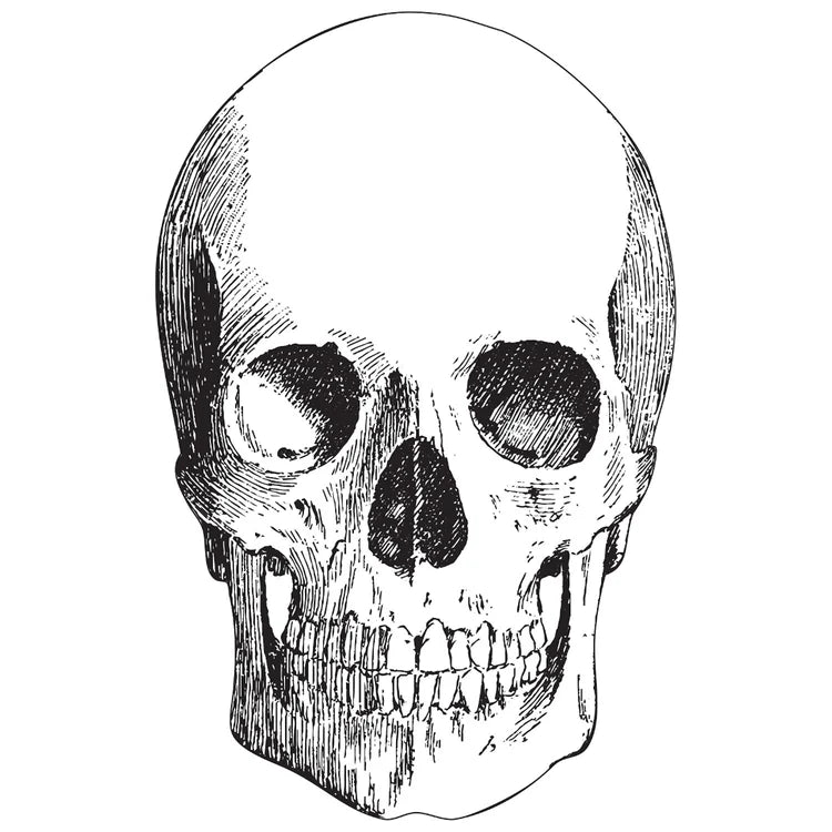 Skull Placemat