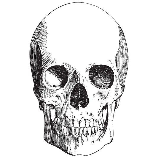 Skull Placemat