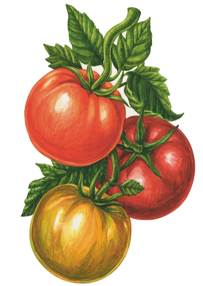 Tomato Table Accent
