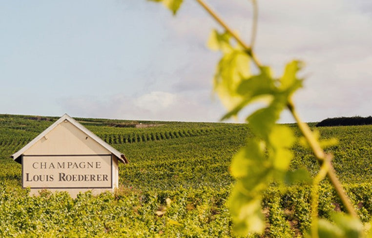 Louis Roederer Champagne, Collection 244 with Gift Box