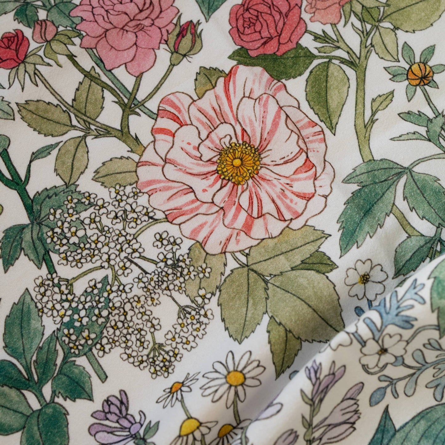 CLOVER | 100% COTTON TEA TOWEL