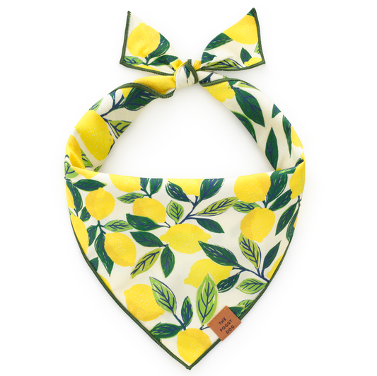 Bandana pour chien Zeste de citron