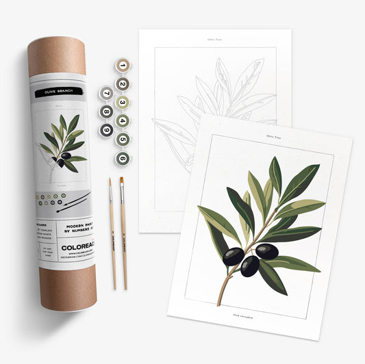 Olive Branch Botanical | Modern Paint By Numbers Kit
