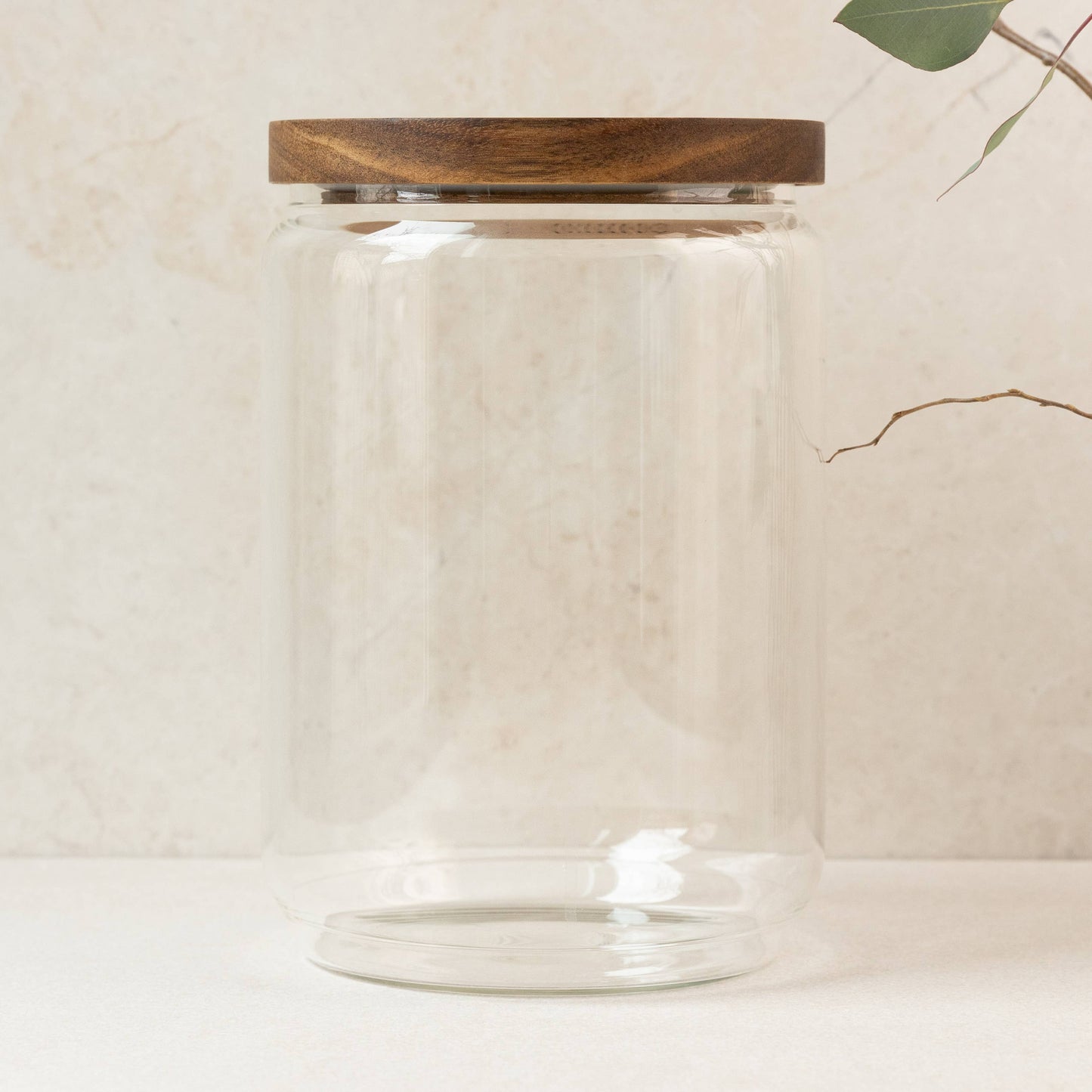 The Jumbo Large Glass Canister
