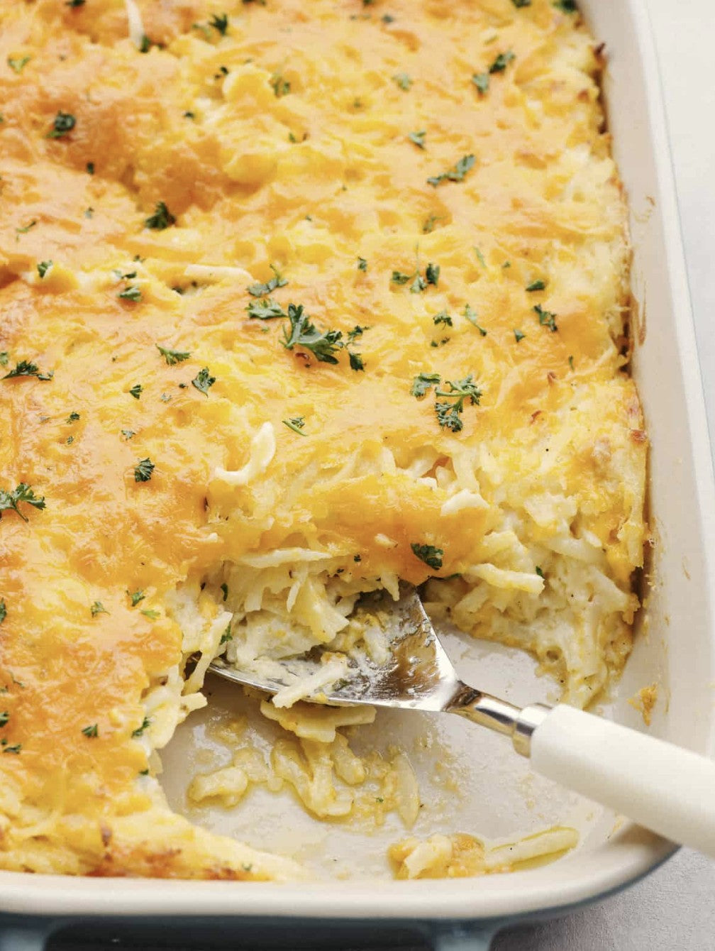 DASH Gourmet-to-Go Hashbrown Casserole