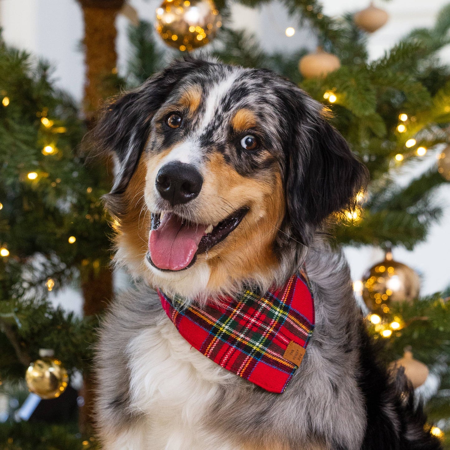 Foggy Dog Tartan Plaid Flannel Holiday Dog Bandana