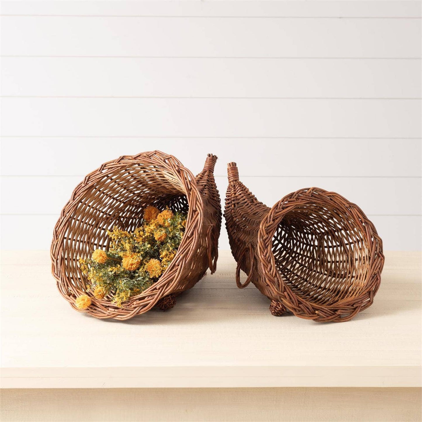 Cornucopia