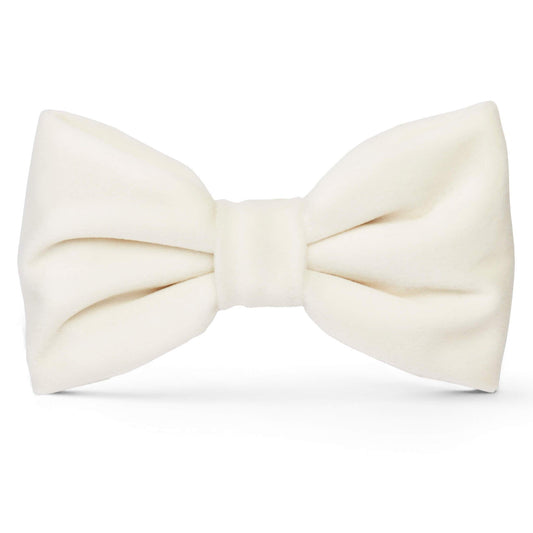 Foggy Dog - Ivory Velvet Dog Bow Tie