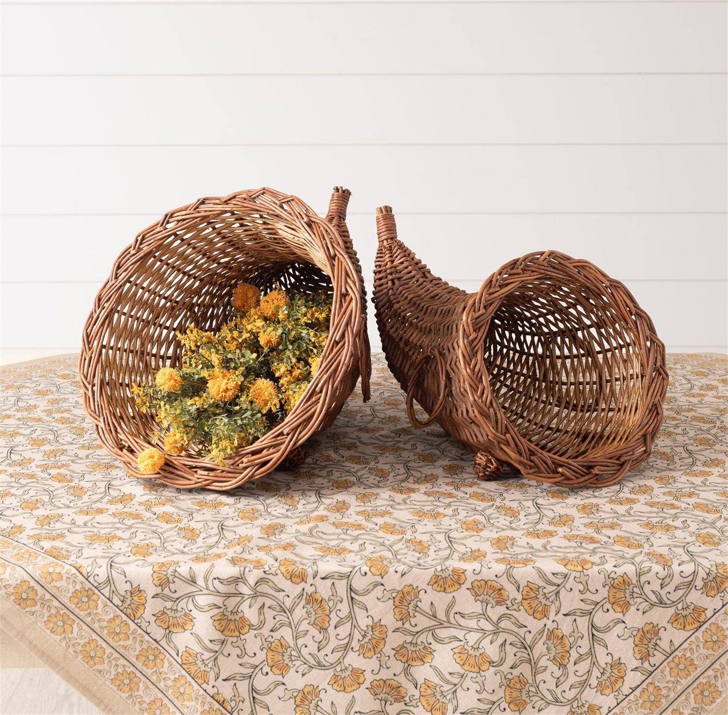 Cornucopia