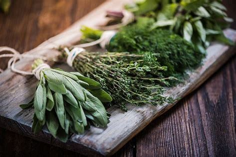 "Cooking with Fresh Herbs" Luncheon and Class.  Monday, February 24, 2025