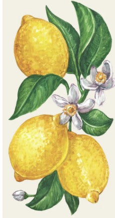 Lemon Squeezy Signature Gift Box