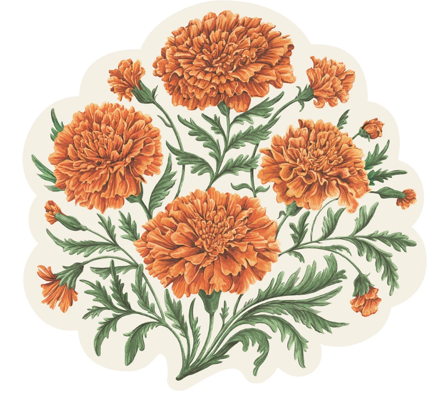 Set de table en papier Hester & Cook à colorier avec motif dinde