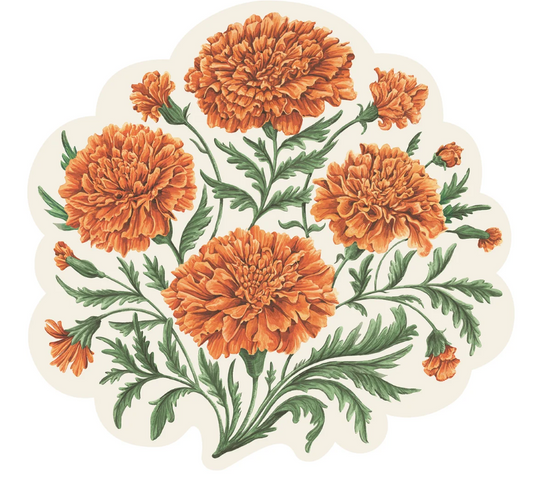 Set de table en papier Hester & Cook à colorier avec motif dinde
