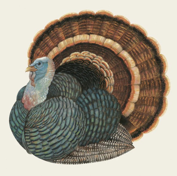 Hester & Cook Heritage Turkey Napkins